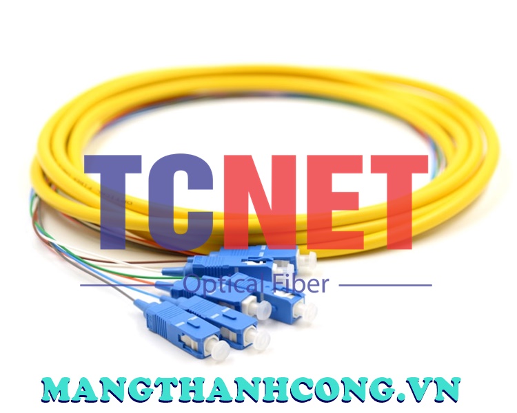 0018710 3m 6 fiber sc pigtail single mode os2