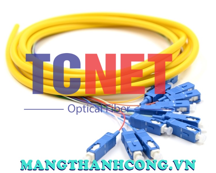 0024602 3m 12 fiber sc pigtail single mode os2