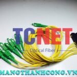 bo chia quang cassette abs 1×8 scapc 10