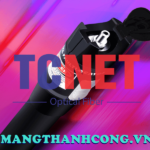 but soi loi soi quang vfl da chuc nang den laser 1 10 20 30 50w hieu bwj 1