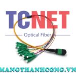 day nhay quang bo 4 8 12 24fo singlemode mpomtp to lcapc 1