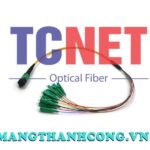 day nhay quang bo 4 8 12 24fo singlemode mpomtp to lcapc