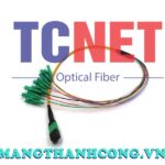day nhay quang bo 4 8 12 24fo singlemode mpomtp to lcapc 3