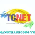 day nhay quang bo 4 8 12 24fo singlemode scapc to scupc