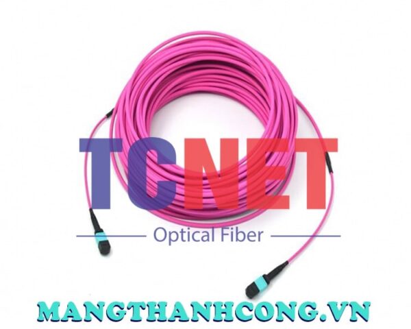 day nhay quang mpo mpo multimode om4