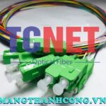 day noi quang 12 mau scapc simplex 9125 single mode 3