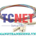 day noi quang 12 mau scpc simplex 50125 multi mode om2