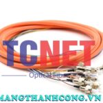 day noi quang bo mem fcpc simplex 50125 multi mode om2