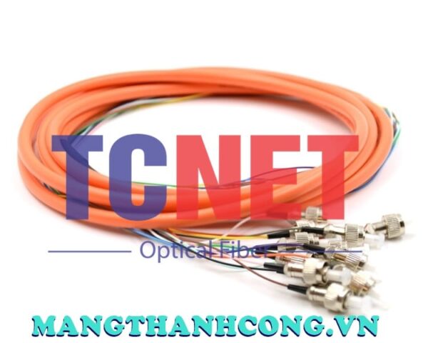 day noi quang bo mem fcpc simplex 50125 multi mode om2