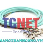 day noi quang bo mem fcpc simplex 50125 multi mode om4