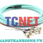 day noi quang bo mem fcpc simplex 50125 multi mode om5
