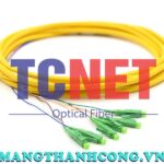 day noi quang bo mem lcapc simplex 9125 single mode