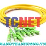 day noi quang bo mem scapc simplex 9125 single mode 1