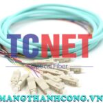 day noi quang bo mem scpc simplex 50125 multi mode om3
