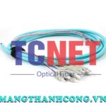 day noi quang bo mem scpc simplex 50125 multi mode om3