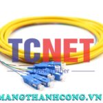 day noi quang bo mem scupc simplex 9125 single mode