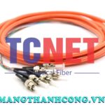 day noi quang bo mem stpc simplex 50125 multi mode om2