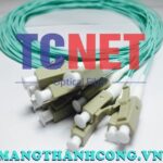 day noi quang lcpc simplex 50125 multi mode om10
