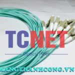 day noi quang lcpc simplex 50125 multi mode om11