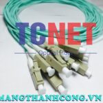 day noi quang lcpc simplex 50125 multi mode om15