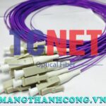 day noi quang lcpc simplex 50125 multi mode om29