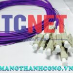 day noi quang lcpc simplex 50125 multi mode om30