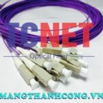 day noi quang lcpc simplex 50125 multi mode om36