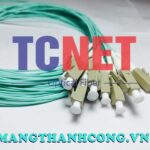 day noi quang lcpc simplex 50125 multi mode om6