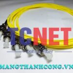 Dây nối quang màu vàng FC/UPC Simplex 9/125 Single mode