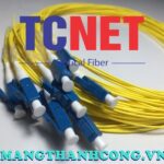 day noi quang mau vang lcupc simplex 9125 single mode 3