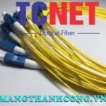 day noi quang mau vang lcupc simplex 9125 single mode 6