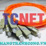 day noi quang scpc simplex 50125 multi mode om11