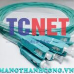 day noi quang scpc simplex 50125 multi mode om21