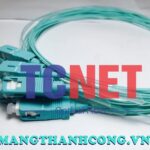 day noi quang scpc simplex 50125 multi mode om25
