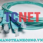 day noi quang scpc simplex 50125 multi mode om28