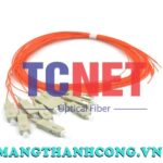 day noi quang scpc simplex 50125 multi mode om3