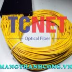 vo bo chia quang cassette abs 1x64 lam chuan sc lc fc st 5