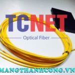 vo bo chia quang cassette abs 1×4 lam chuan sc lc fc st