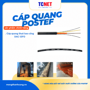 Cáp quang thuê bao cống 12FO