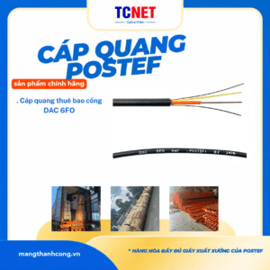 Cáp quang thuê bao cống 6FO