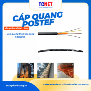 Cáp quang thuê bao cống 8FO