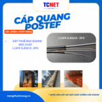 Dây thuê bao quang, đệm chặt 02 sợi đơn mode, LLDPE, G652D