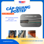 Dây thuê bao quang, đệm chặt 04 sợi đơn mode, LLDPE, G652D FTTX-SQ1