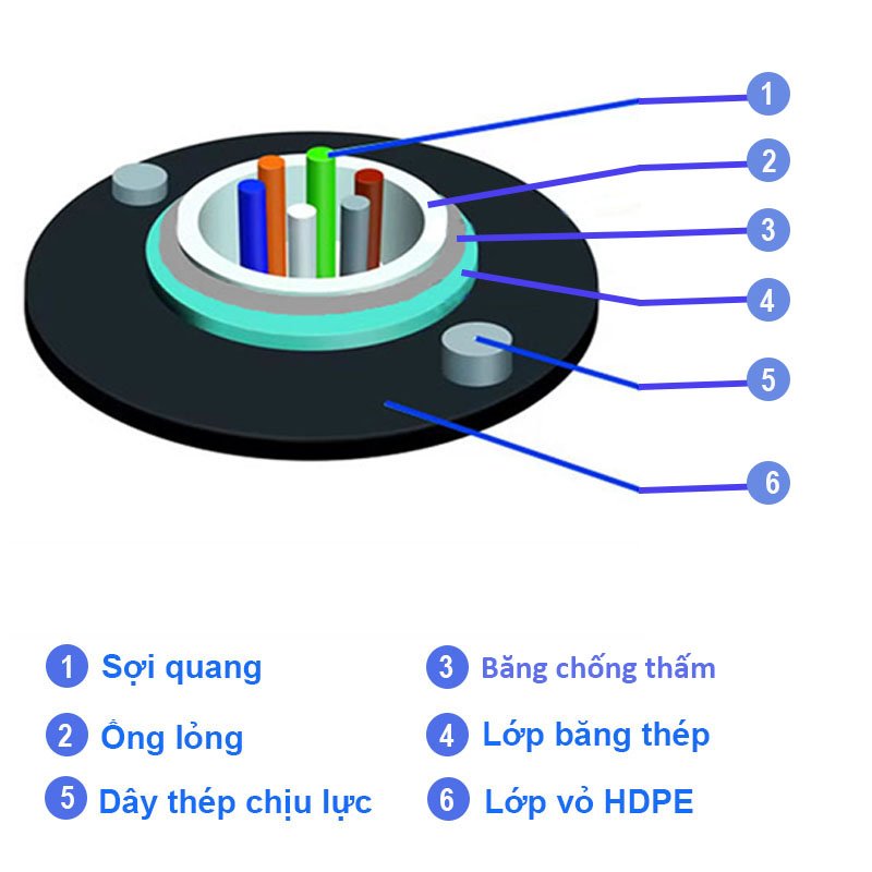 Cáp quang luồn ống Multimode OM3 TCNet - GYXTW-OM3-48A1a 2 Cáp quang luồn ống Multimode OM3 TCNet - GYXTW-OM3-48A1a - Ảnh 2