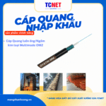 Cáp quang luồn ống Multimode OM3 TCNet - GYXTW-OM3-48A1a
