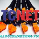 But soi loi soi quang vfl 10km da chuc nang den laser ma bwj 650 10 hieu bwj 14.jpg