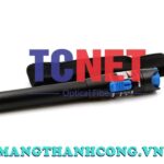 But soi loi soi quang vfl da chuc nang den laser 1 10 20 30 50w hieu bwj 4.jpg