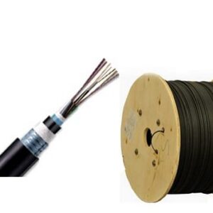 LS Solution Indoor/Outdoor OM4 Fiber Cable LT-DJBGSEX/BRN M412XX(06T2.00)