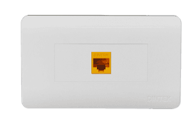 DINTEK Network Face Plate, Surface Mount - 1303-11030