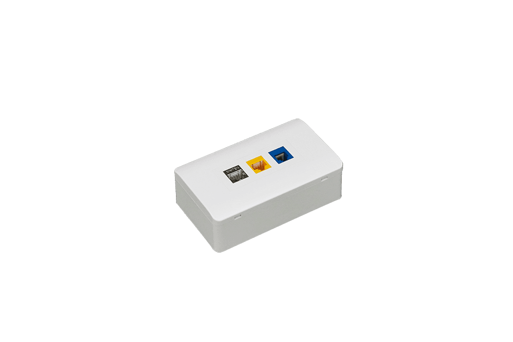 DINTEK Network Face Plate, Surface Mount - 1303-11039 1 Mat na mang de noi dintek 1303 11039.png